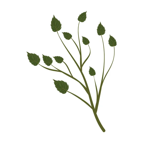 Grüne Blätter Über Weiße — Stockvektor
