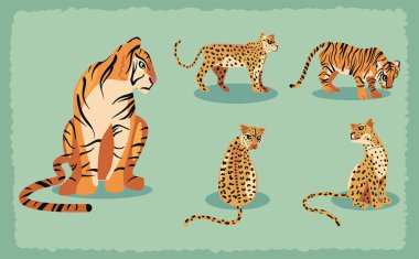 Beş büyük kedi seti.