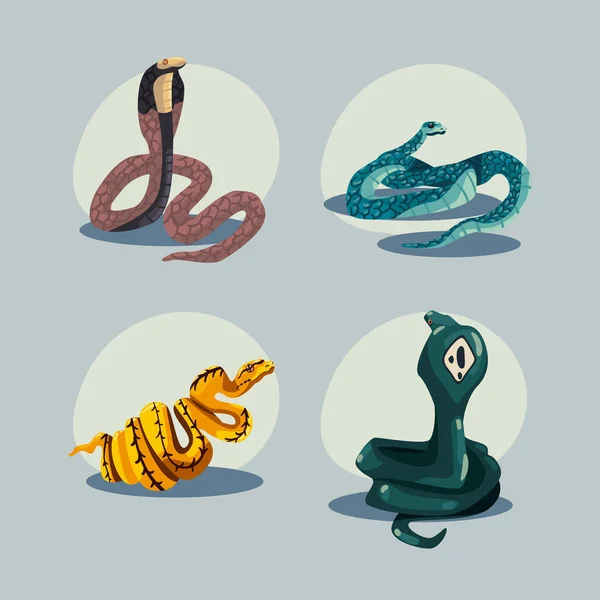 Set Quattro Serpenti Piatti Colorati — Vettoriale Stock