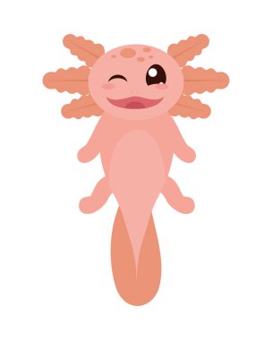Beyaz arkaplanda şirin axolotl