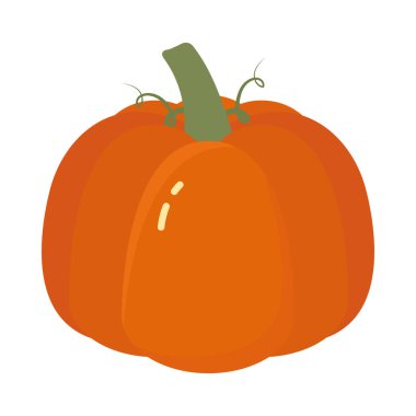 Beyaz arka planda turuncu kabak simgesi