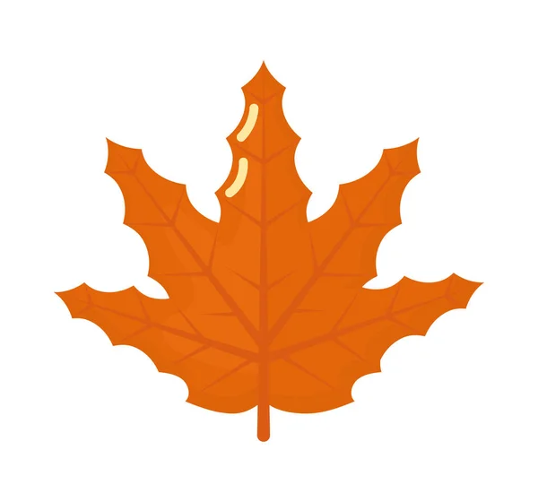 Maple Leaf Icon White Background — Stock Vector