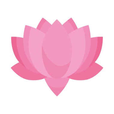 Beyaz arkaplanda pembe nilüfer çiçeği