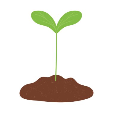 Toprakta yetişen bitki beyaz arka planda