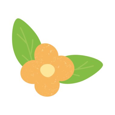 turuncu çiçek ve yapraklar beyaz arkaplanda