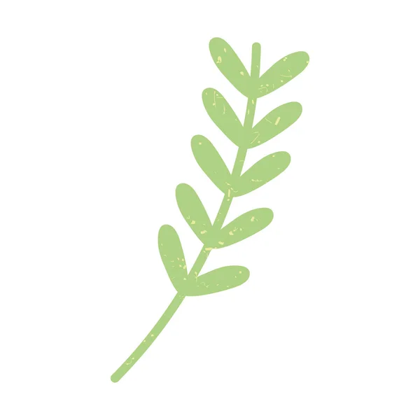 Branche Verte Avec Feuilles Sur Fond Blanc — Image vectorielle