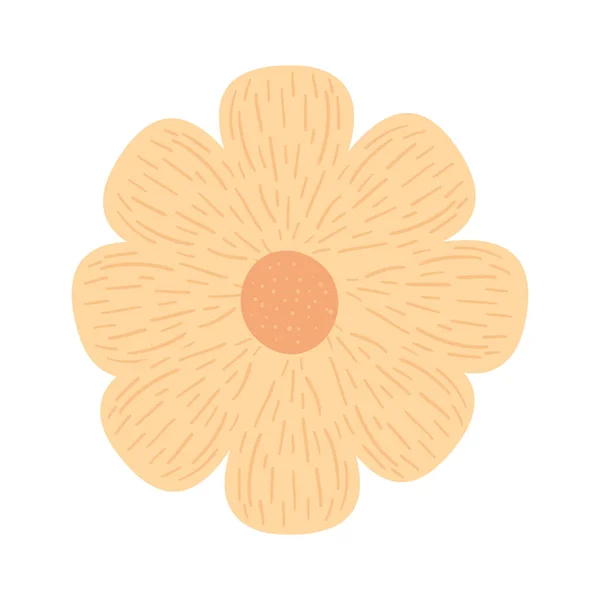 Pomarańczowy Kwiat Białym Tle — Wektor stockowy