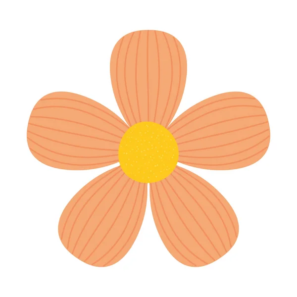 Schöne Orangefarbene Blume Auf Weißem Hintergrund — Stockvektor