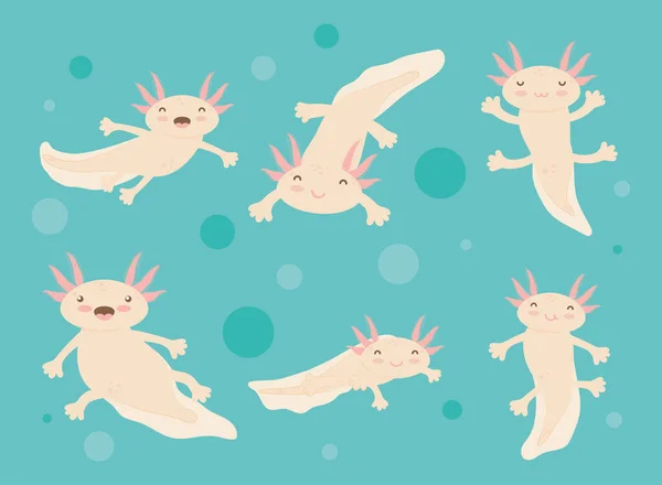 Glücklich Axolotls Icons Set Design — Stockvektor