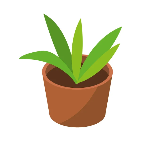白の上に美しい植物のデザイン — ストックベクタ