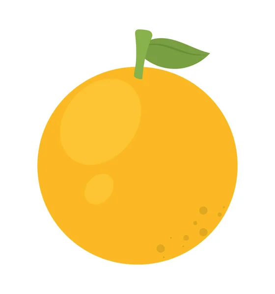 Orangenfrucht Symbol Auf Weißem Hintergrund — Stockvektor