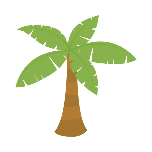 Icona Palma Tropicale Sfondo Bianco — Vettoriale Stock
