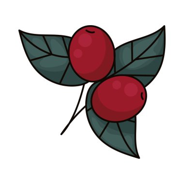 Yapraklı kırmızı kahve çekirdekleri