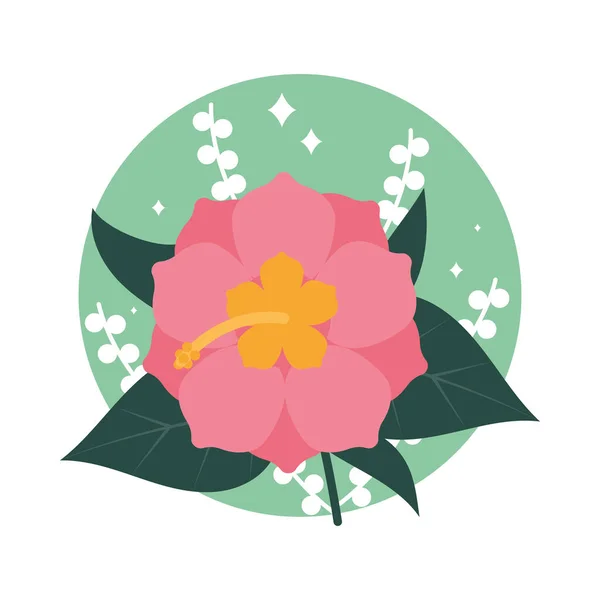 Иконка Цветка Гибискуса Белом Фоне — стоковый вектор