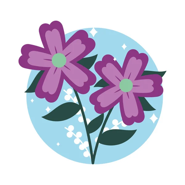 Purple Flowers Design White Background — Stock Vector