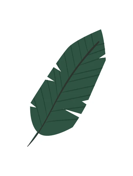 Flat Texture Leaf Design White — Stock Vector