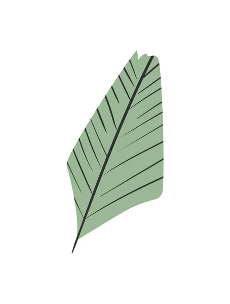 Flat Texture Leaf Illustration White — Stockvektor