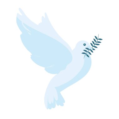 dove flying with branch isolated icon