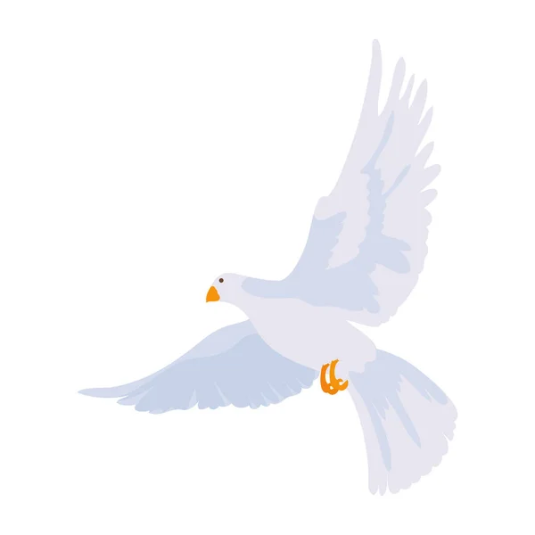 Pigeon Dove Design White — Stockový vektor