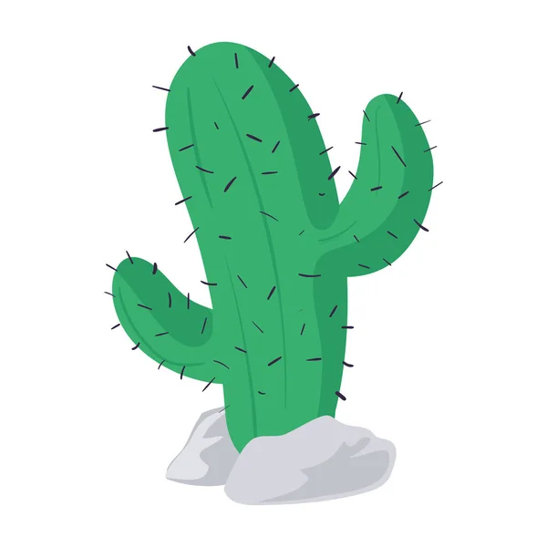 Cactus Avec Épines Sur Blanc — Image vectorielle