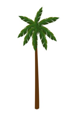 long palm design over white