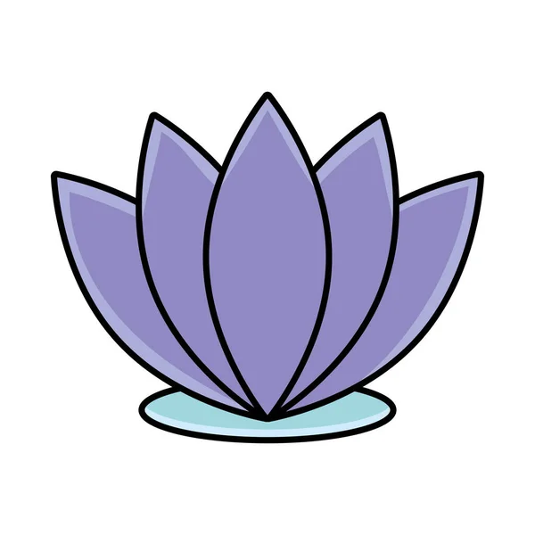 purple lotus flower over white