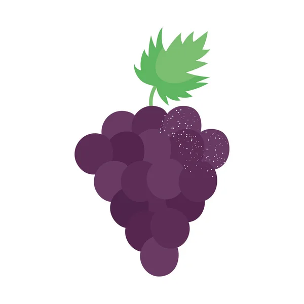 Grappe Raisin Sur Blanc — Image vectorielle