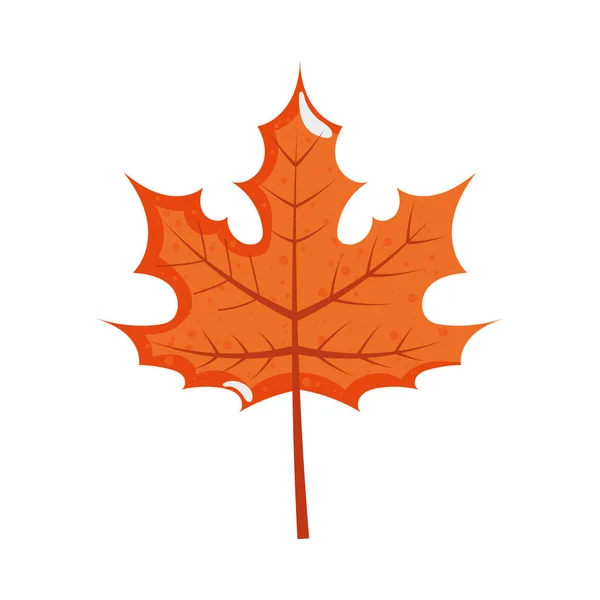 Maple Leaf Illustration White — Vector de stock