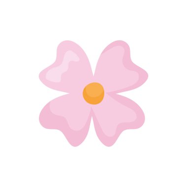 açık pembe çiçek beyaz üzerine