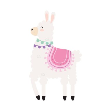 Kürklü lama illüstrasyonu beyaz üzerine