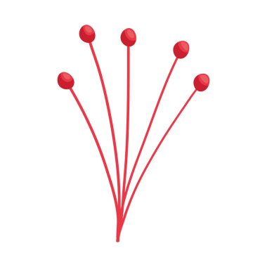 kırmızı böğürtlen bitkisi beyaz üzerine