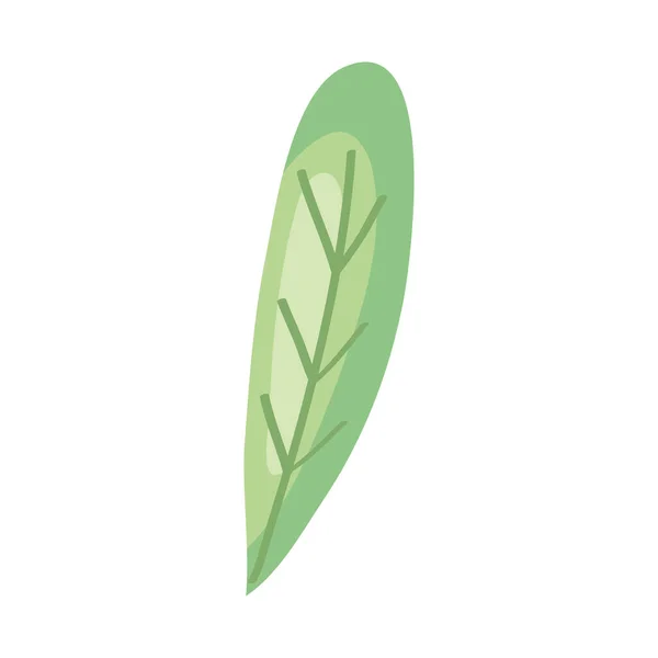 Light Green Leaf Design White — Vector de stock