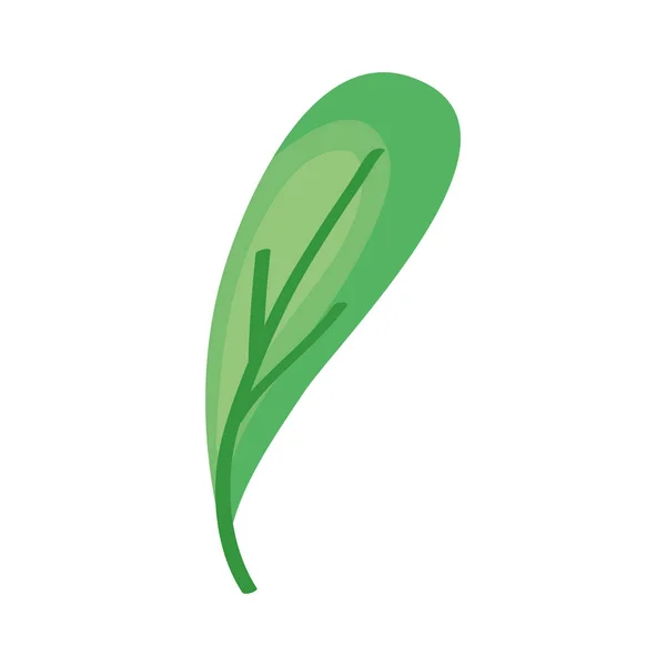 白を基調とした緑の葉デザイン — ストックベクタ