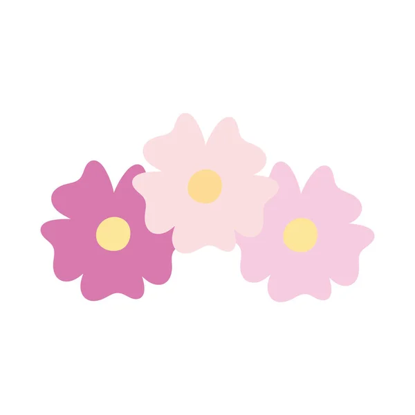 Rosa Blommor Bukett Över Vit — Stock vektor