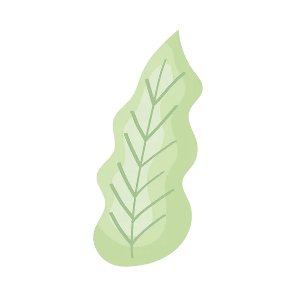 Светло Зеленый Лист Поверх Белого — стоковый вектор