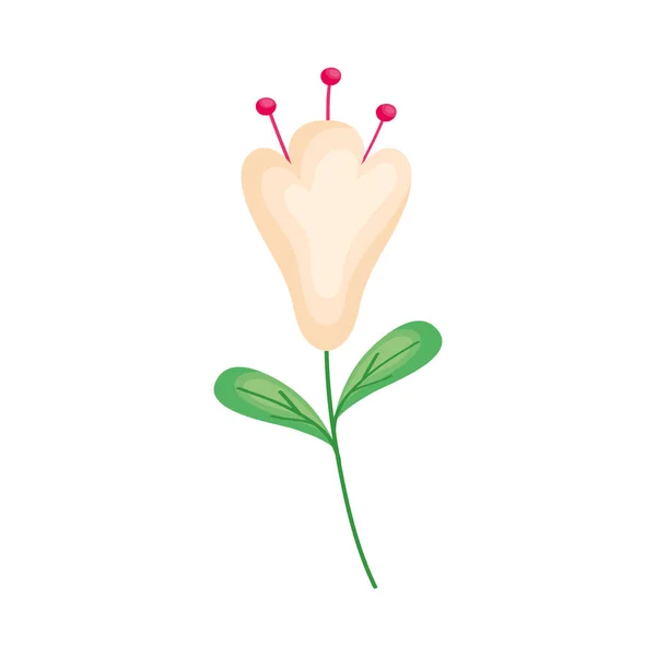 Hermoso Diseño Flor Sobre Blanco — Vector de stock