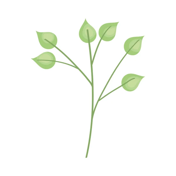 Branch Green Leaves White — Image vectorielle