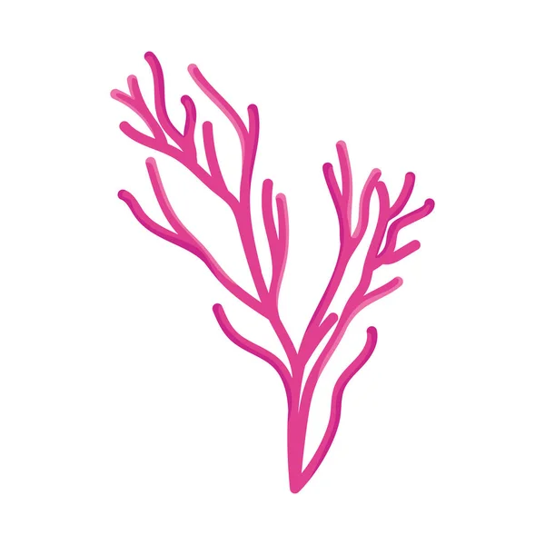 Pink Branch Coral Background — Vetor de Stock
