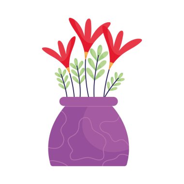 Beyaz arka planda dekoratif iç bitki