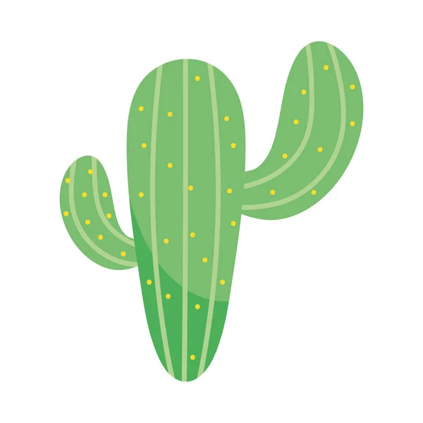 Icône Cactus Vert Sur Fond Blanc — Image vectorielle