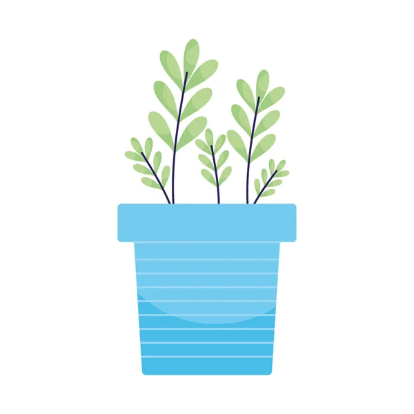 Zöld Növény Kék Edényben — Stock Vector