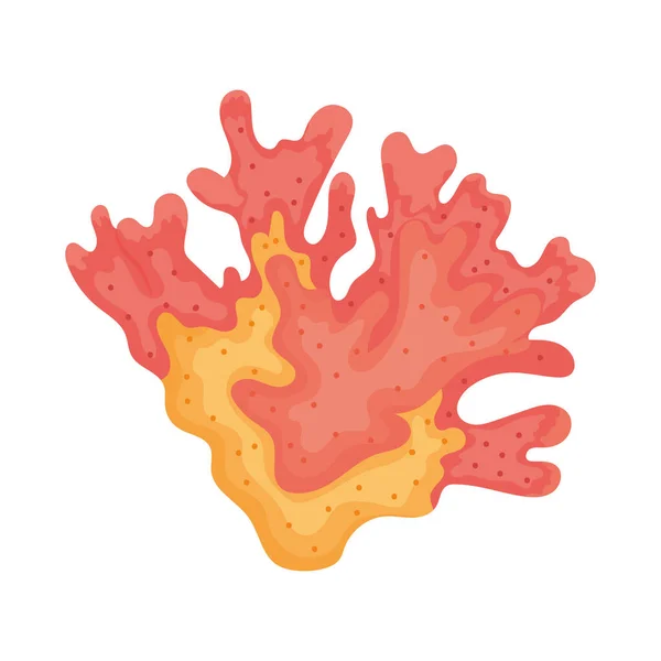 Colorful Coral Icon White Background — Wektor stockowy