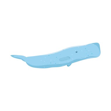 sperm whale icon on white background