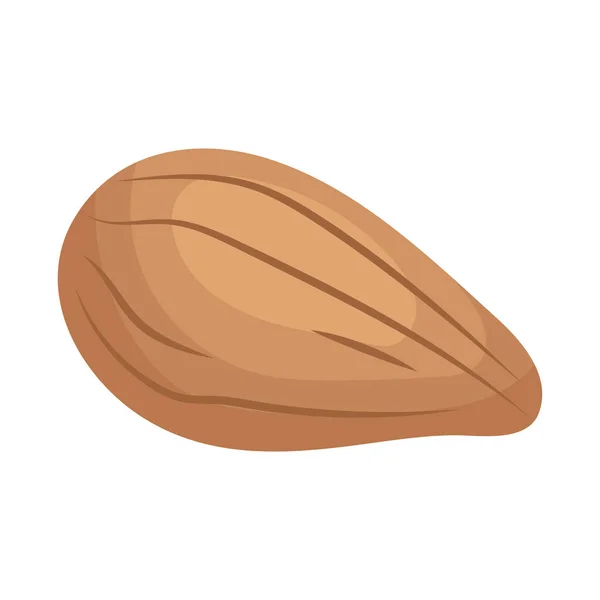 Icono Almendra Sobre Fondo Blanco — Vector de stock