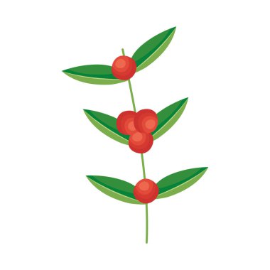 Beyaz arkaplanda Guarana brunach simgesi