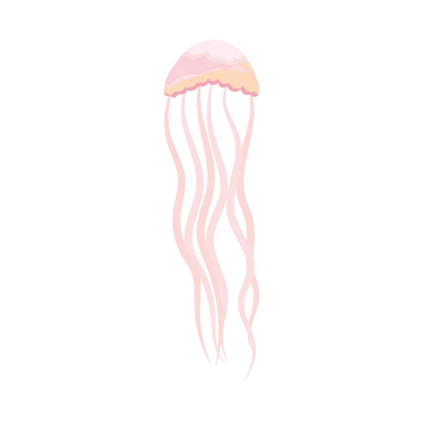 Cartoon Pink Jellyfish White Background — ストックベクタ