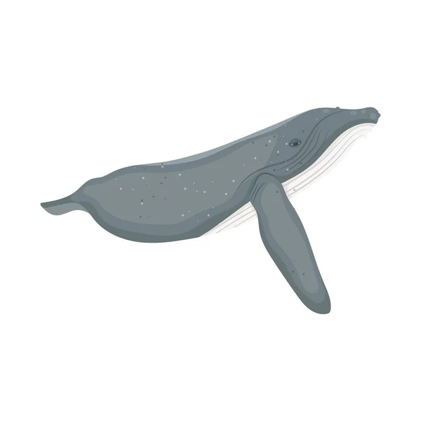 Icône Baleine Bleue Sur Fond Blanc — Image vectorielle