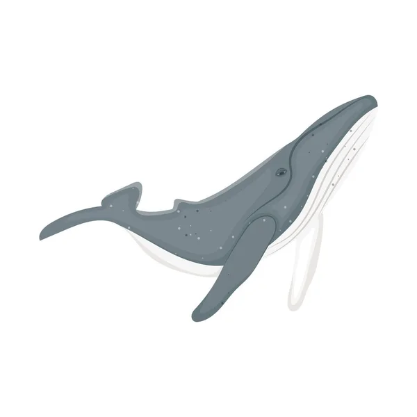 Cartoon Whale Icon White Background — 스톡 벡터