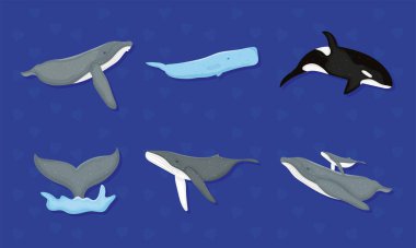 Mavi arkaplanda balina simgesi koleksiyonu