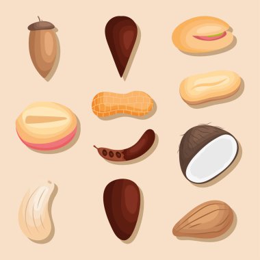 superfood nuts icon set design